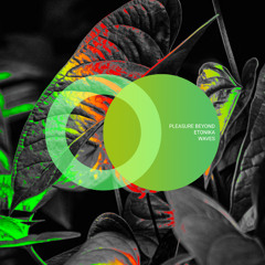 Pleasure Beyond, Etonika - Otherside (Original Mix)
