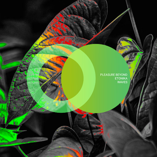 Pleasure Beyond, Etonika - Otherside (Original Mix)