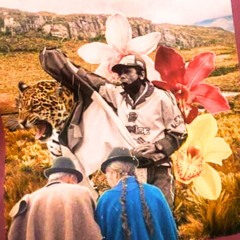 raza, etnia, historia.