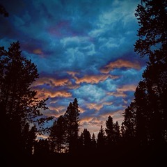 Shygirl - Wifey Riddim (onisko & VCHO flip)