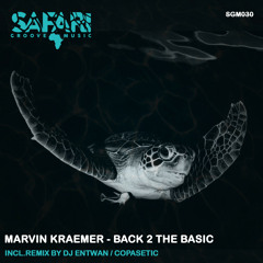 Marvin Kraemer - Back 2 The Basics (DJ Entwan Remix)