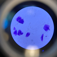 sad-type-beat-romance-music-emotional-instrumental-354106 (1)