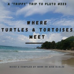 A "trippy" Trip to Pluto #223 - Where Turtles and Tortoises meet