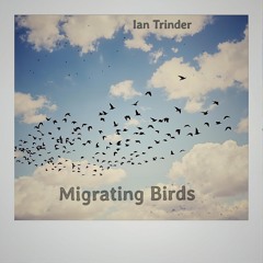 Migrating Birds