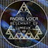 Descargar video: Premiere : Andrei Voica - Resemnat (Lumieux Remix) [TZH167]