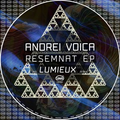 Premiere : Andrei Voica - Resemnat (Lumieux Remix) [TZH167]
