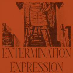 Extermination Expression - Le Secret