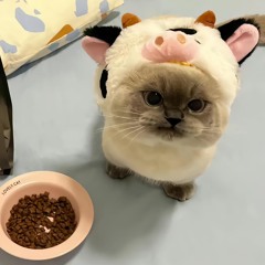 chẳng mấy khi🫠