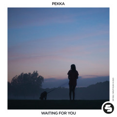 Pekka - Waiting for You