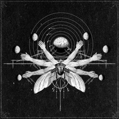 Apaj -the Wet Path (Andara Before The Sunrise Edit)