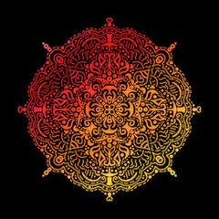 Royal VegA Sets&Tracks