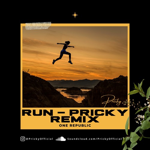 One Republic - Run (Pricky Remix)