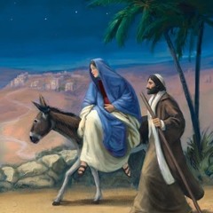 December 19: The Virtue of Detachment. Mary, Ark of the Covenant, pray for us.