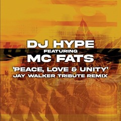 Peace, Love & Unity - DJ Hype Feat. Fats (Jay Walker Tribute RMX)