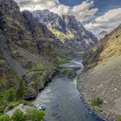 From the Womb to the Tomb