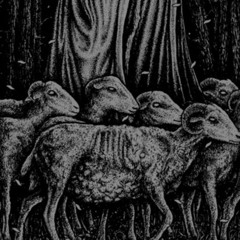 mΛdηєѕѕ