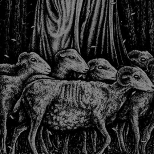 mΛdηєѕѕ
