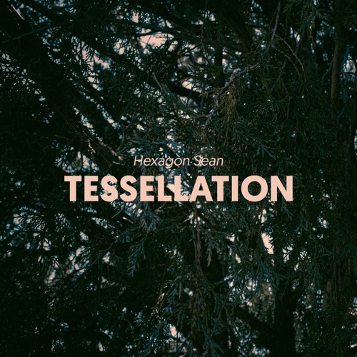 Hexagon Sean - Tesselation (Axl Rhodes' Vaporwave Edit)