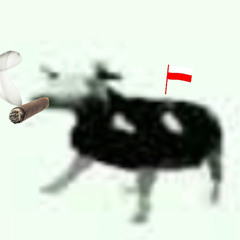 Polish cow [TRAP REMIX]