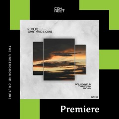 PREMIERE: Reboq - Something is Gone (Michon Remix) [Polyptych]