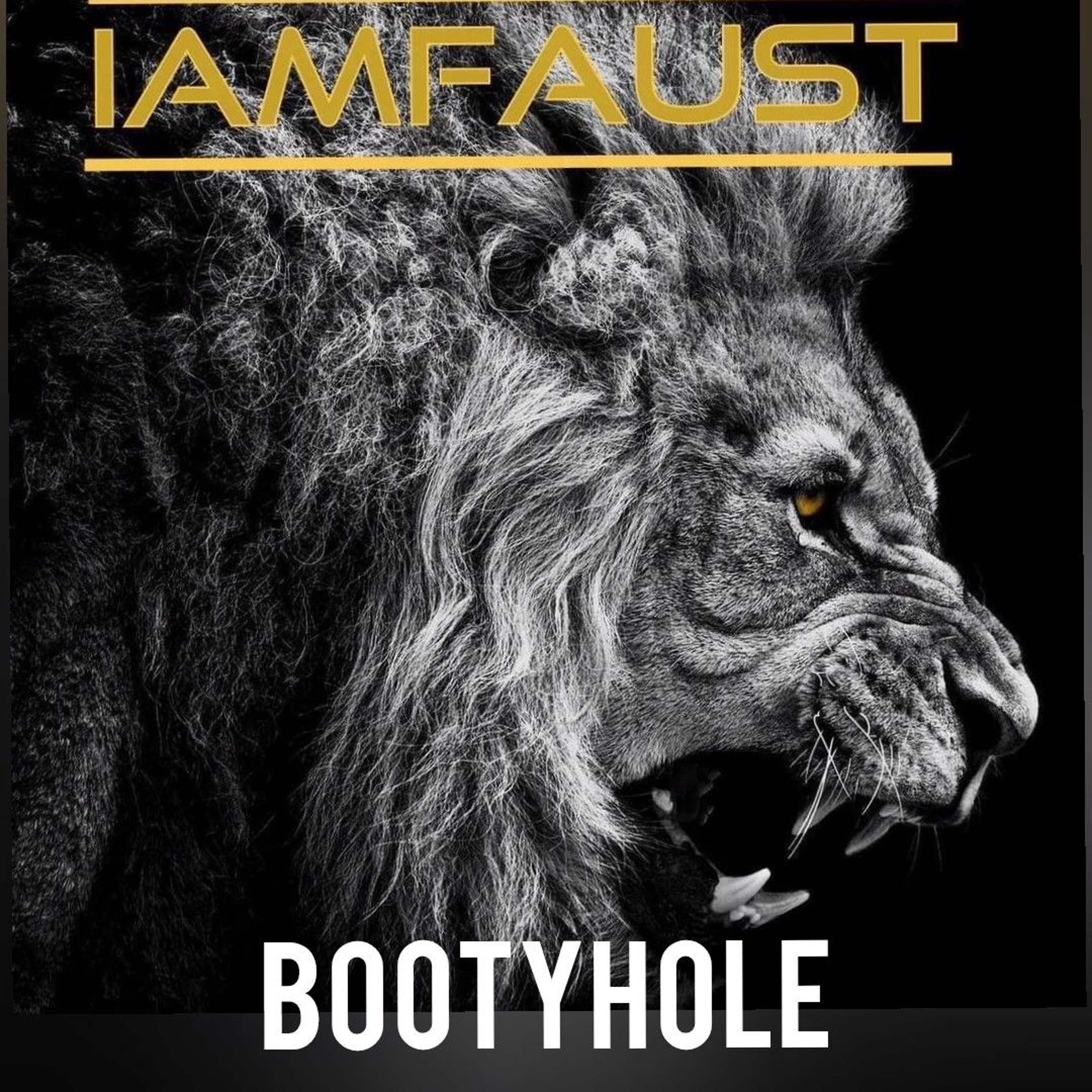 iAmFAUST