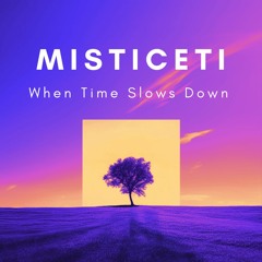 Misticeti - When Time Slows Down