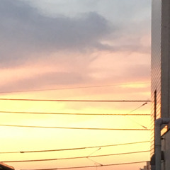 東京都板橋高島平８－９－４