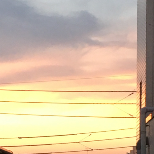 東京都板橋高島平８－９－４