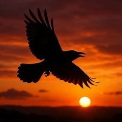 Path of the Crow
