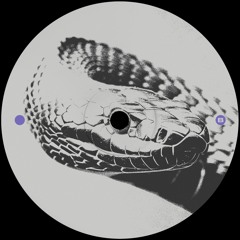 Rill - Friss [SIDEB002]