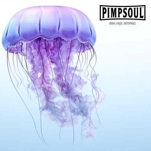 Jellyfish