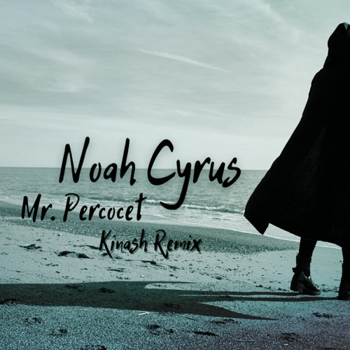 Noah Cyrus - Mr. Percocet (Kinash Remix)