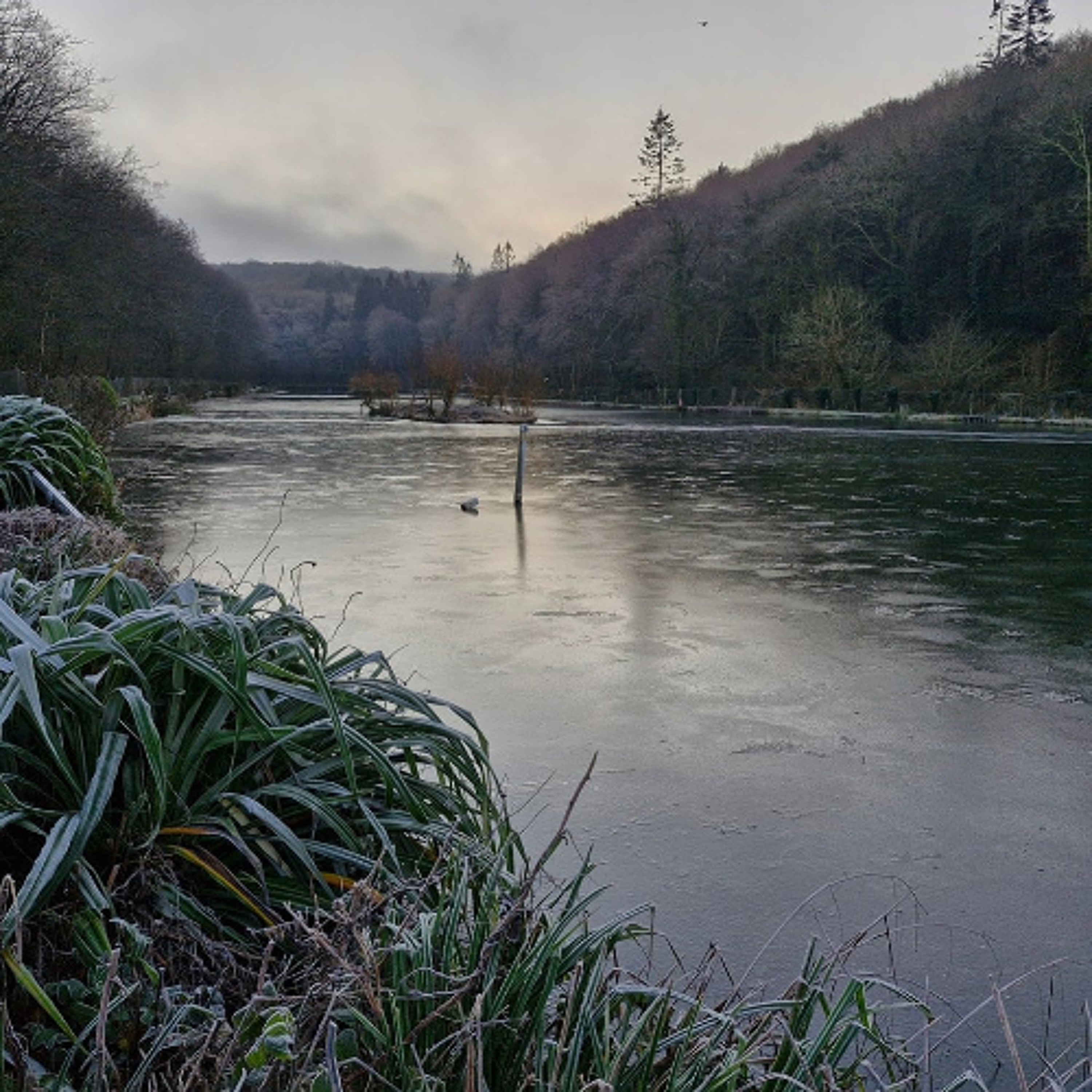 Peche en irlande