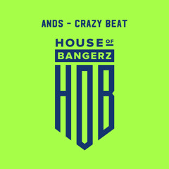 BFF208 ANDS - Crazy Beat (FREE DOWNLOAD)