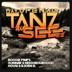 Housi & Bj_rn @ Tanz am See Ebertswiese 2025