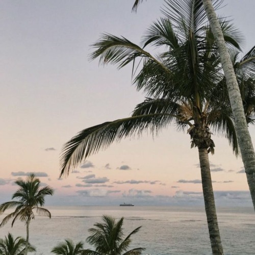 sdp interlude (Extended + sped up)