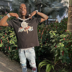 Polo G - Birthday snippet 2022