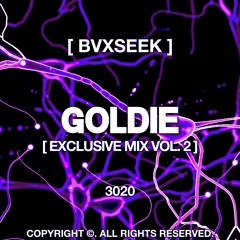 BVXSEEK X GOLDIE EXCLUSIVE MIX VOL.2