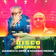 Dj Snake - Disco Maghreb (Damien N-Drix & Maesic Remix)