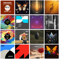 ORGANIC DOWNTIME 03 NOVEMBER 2025 CROSSLAND MUSIC RADIO Deep Organic Melodic Progressive House & EDM