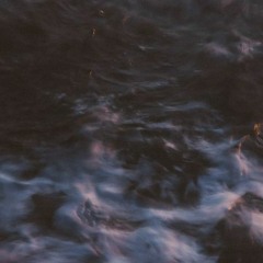 M.O.T.Y - Confined / roar of the storm..