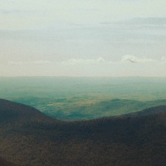 Constancy