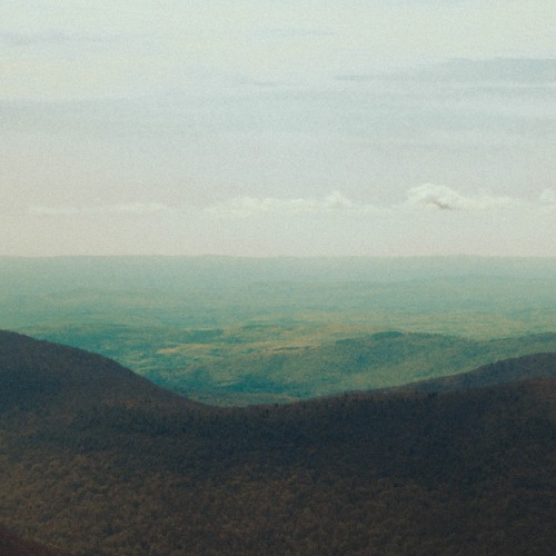 Constancy