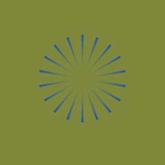 circa110 - SILVIA