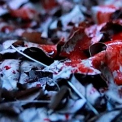 Deoxys BloodOnTheLeaves