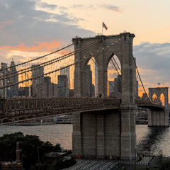 Brooklyn Bridge (Seismic Vibrations) - New York, USA