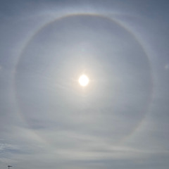 What Happens In New York