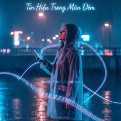 Tín Hiệu Trong Màn Đêm