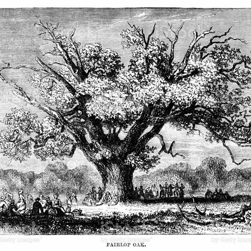 Hoppian My Dear (Ancestors Too)