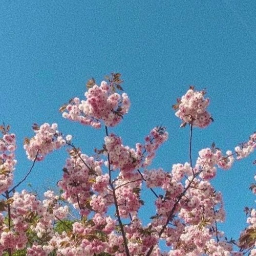 @rxseboy x @kehard x @montydatta - true love